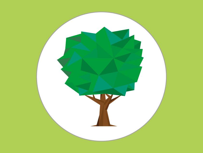 arbre_amazonie_bbb