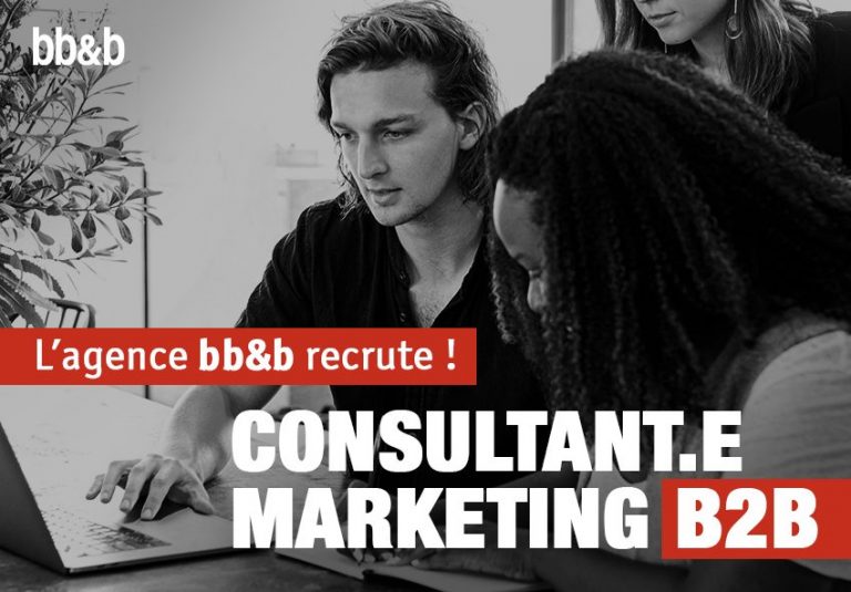 Consultant(e) marketing b2b (cdi)